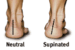 Supination_and_Normal